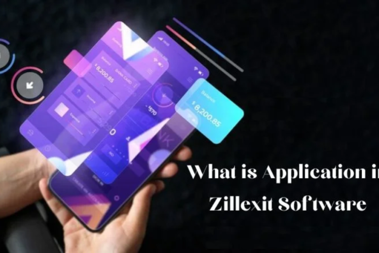 What Is Application In Zillexit Software?